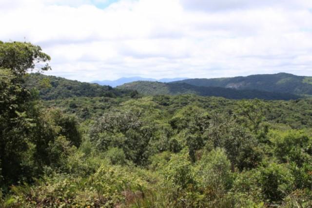 Serra do Itapetinga